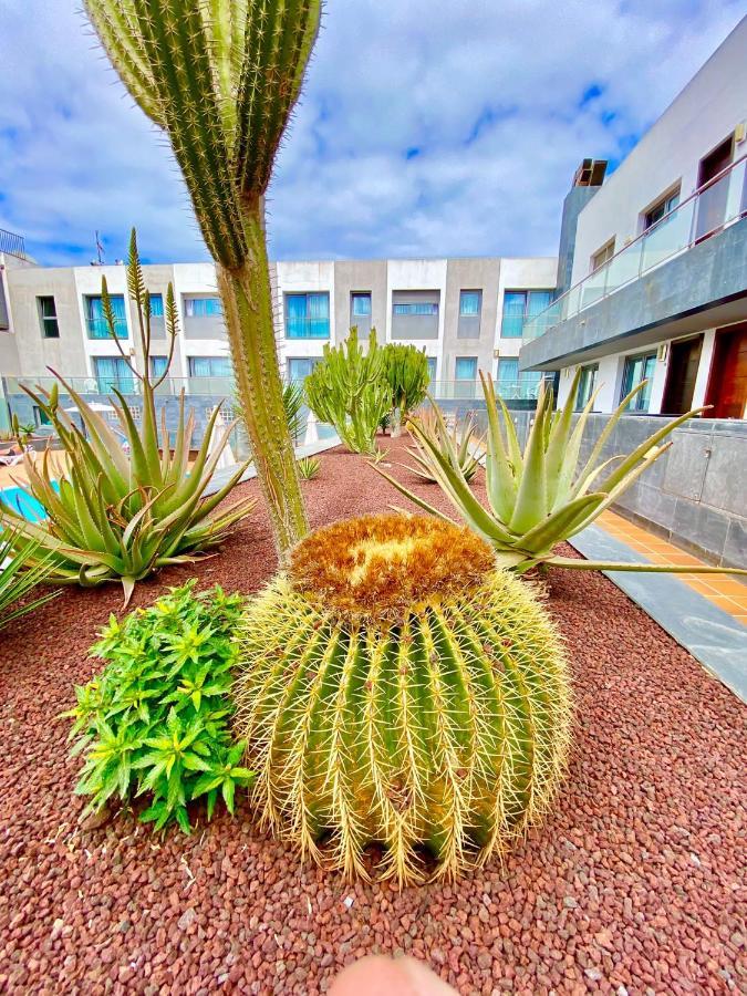 Mar De Fuerteventura 2 Apartment Corralejo Exterior foto